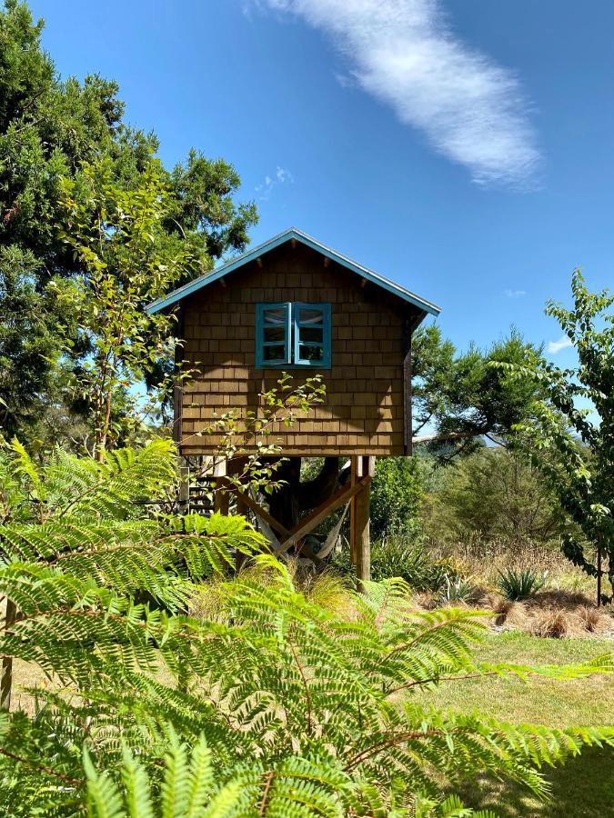 Villa Tui Ridge à Aongatete Extérieur photo